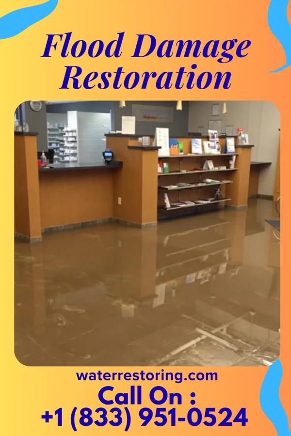 Flood Damage Restoration in Palm Shores, FL