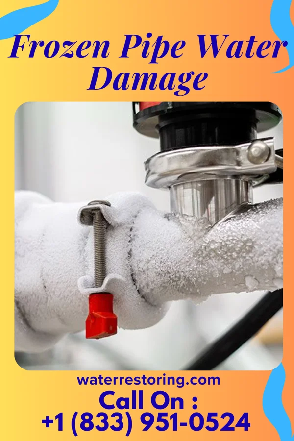Frozen Pipe Water Damage in Palm Shores, FL