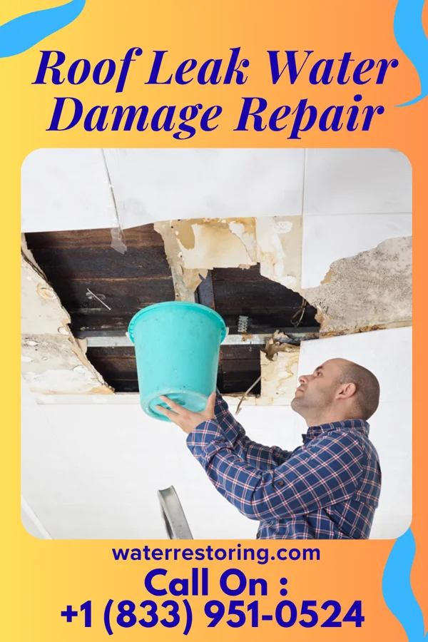 Roof Leak Water Damage Repair in Palm Shores, FL