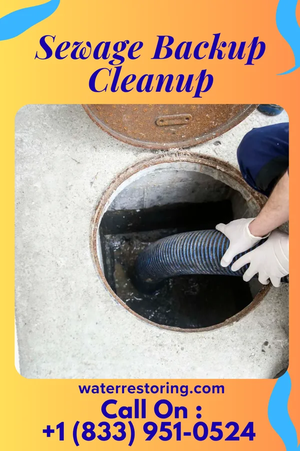 Sewage Backup Cleanup in Palm Shores, FL